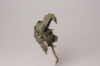 神帽藏品圖，第4張