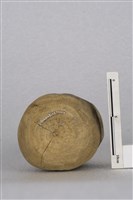 陀螺藏品圖，第2張