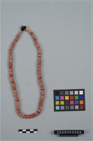 貝珠錢項鍊藏品圖，第1張