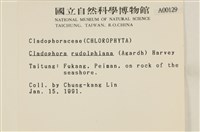 登錄號:A00000129藏品圖，第2張