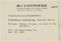 登錄號:A00000130藏品圖，第2張