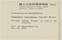 登錄號:A00000135藏品圖，第2張