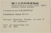 登錄號:A00000151藏品圖，第2張