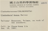 登錄號:A00000152藏品圖，第2張