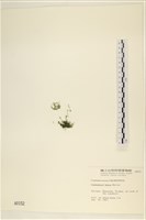 登錄號:A00000152藏品圖，第3張