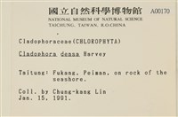 登錄號:A00000170藏品圖，第2張