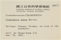 登錄號:A00000171藏品圖，第2張