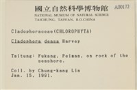 登錄號:A00000172藏品圖，第2張