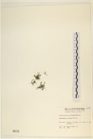 登錄號:A00000172藏品圖，第3張