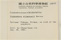 登錄號:A00000195藏品圖，第2張