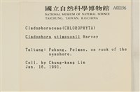 登錄號:A00000196藏品圖，第2張