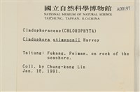 登錄號:A00000197藏品圖，第2張