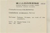 登錄號:A00000198藏品圖，第2張