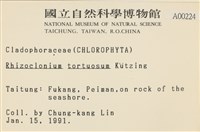 登錄號:A00000224藏品圖，第2張