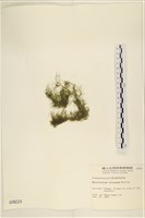 登錄號:A00000224藏品圖，第3張