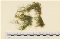 登錄號:A00000224藏品圖，第1張