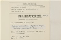 登錄號:A00000270藏品圖，第2張