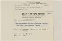 登錄號:A00000271藏品圖，第2張