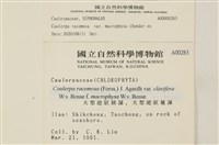 登錄號:A00000283藏品圖，第2張