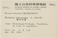 偏列羽藻藏品圖，第2張