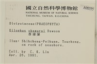 厚緣藻藏品圖，第2張