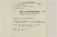 登錄號:A00000369藏品圖，第2張