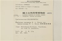 登錄號:A00000370藏品圖，第2張