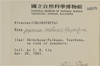 登錄號:A00000379藏品圖，第2張