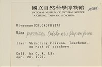 登錄號:A00000380藏品圖，第2張