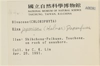 登錄號:A00000381藏品圖，第2張