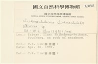 登錄號:A00000383藏品圖，第2張