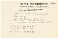 登錄號:A00000384藏品圖，第2張