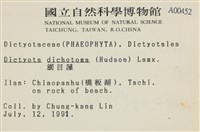 網目藻藏品圖，第2張