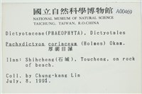 厚網目藻藏品圖，第2張