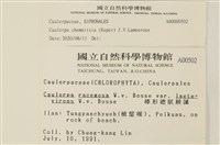 登錄號:A00000502藏品圖，第2張