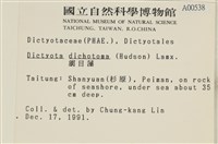 網目藻藏品圖，第2張