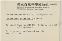 登錄號:A00000539藏品圖，第2張