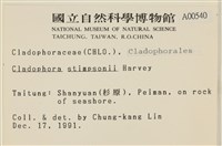 登錄號:A00000540藏品圖，第2張