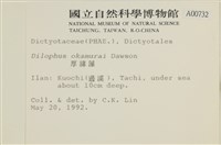 厚緣藻藏品圖，第2張