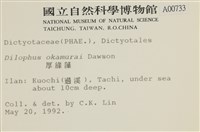 厚緣藻藏品圖，第2張