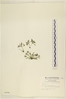 登錄號:A00000760藏品圖，第3張