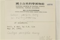 登錄號:A00000766藏品圖，第2張