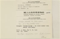 登錄號:A00000768藏品圖，第2張