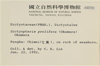 登錄號:A00000783藏品圖，第2張