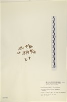 登錄號:A00000783藏品圖，第3張
