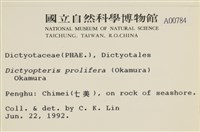 登錄號:A00000784藏品圖，第2張