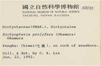 登錄號:A00000785藏品圖，第2張