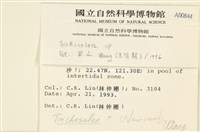 登錄號:A00000844藏品圖，第2張