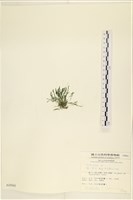 登錄號:A00000844藏品圖，第3張