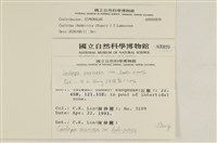 登錄號:A00000859藏品圖，第2張